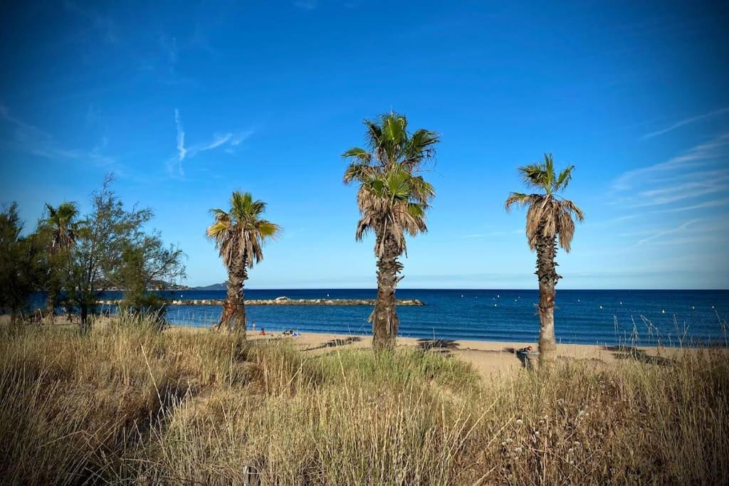 Port-Frejus, Le Paladien, Appartement 2 Pieces Climatise, Terrasse & Parking Zewnętrze zdjęcie